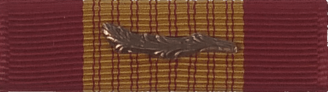 Military Vietnam Gallantry Cross Medal Ribbon