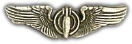 Mini Bombardier Wings Lapel Pin