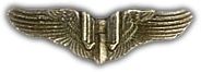 Mini Gunners Wings Lapel Pin
