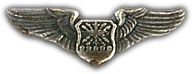 Mini Navigator Wings Lapel Pin