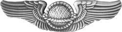 Mini Navigator Wings Lapel Pin
