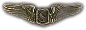 Mini Service Pilot Wings Lapel Pin