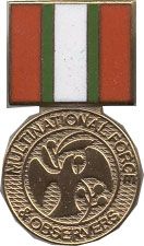 Multinational Force Medal Hat Pin