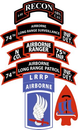 N Company (RANGER), 75th Infantry (AIRBORNE), 173rd Airborne Brigade Decal