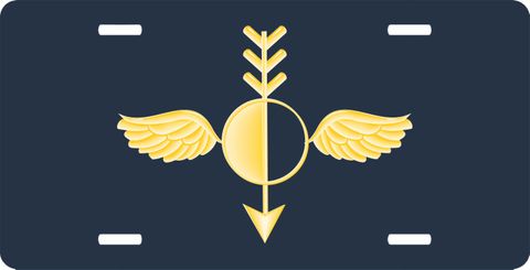 Naval Aerographer's Mate License Plate