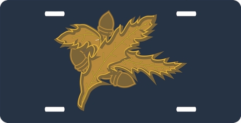 Naval Aviation Supply License Plate