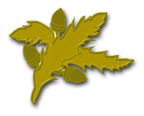 Naval Aviation Supply  Vinyl Transfer Decal