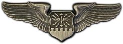 Navigator Wings Lapel Pin