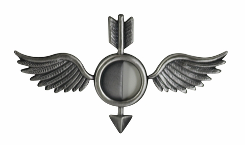 NAVY AEROGRAPHER'S MATE ( AG ) BALL CAP PIN - Oxidized Finish