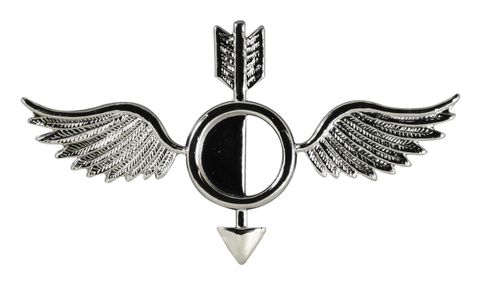 NAVY AEROGRAPHER'S MATE ( AG ) BALL CAP PIN - Mirrored Finish