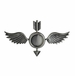 NAVY AEROGRAPHER'S MATE ( AG ) BALL CAP PIN - Oxidized Finish