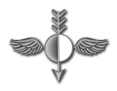 Navy Aerographer's Mate Vinyl Transfer Decal