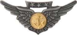 Navy Air Crew Lapel Pin