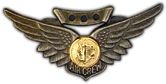 Navy Air Crew Wings Lapel Pin