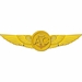 Navy Aircrew Wings Decal