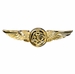 Navy Aircrewman Badge