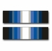 Navy Antarctica Service Ribbon Decal