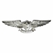 Navy Aviation Air Warfare Specialist Badge - Mirrored Finish