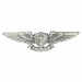 Navy Aviation Air Warfare Specialist Badge - Oxidized Finish