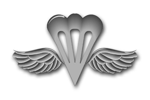 Navy Aviation Aircrew Survival Equipmentman Vinyl Transfer Decal