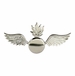 Navy Aviation Ordnanceman ( AO ) Ball Cap Pin