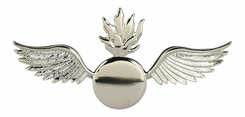Navy Aviation Ordnanceman ( AO ) Ball Cap Pin