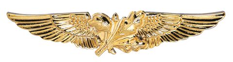 Navy Aviation Supply Officer Badge