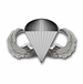 Navy Basic Parachutist Vinyl Transfer Decal