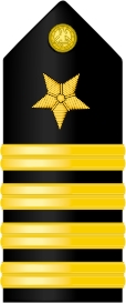 Navy Captain Shoulder Board Decal