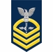 Navy Chief Gold E-7 Aerographers Mate AG Decal Sticker