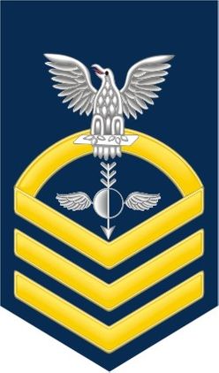 Navy Chief Gold E-7 Aerographers Mate AG Decal Sticker