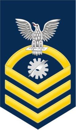 Navy Chief Gold E-7 Data Processing Technician DP Decal Sticker