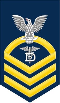 Navy Chief Gold E-7 Dental Technician DT Decal Sticker