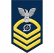 Navy Chief Gold E-7 Gas Turbine Systems Technician GS Decal Sticker