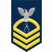 Navy Chief Gold E-7 Instrumentman IM Decal Sticker
