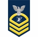 Navy Chief Gold E-7 Weapons Technician WT Decal Sticker