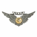 Navy Combat Aircrew Badge