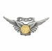 Navy Combat Aircrew Miniature Badge