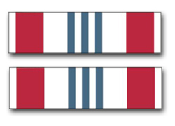 Navy Defense Meritorious Service Ribbon Decal