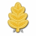 Navy Dental Corps Oak Leaf Vinyl Transfer Decal