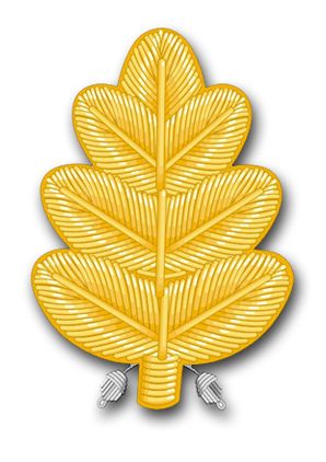 Navy Dental Corps Oak Leaf Vinyl Transfer Decal