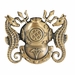 Navy Diving Medical Officer Badge