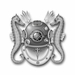 Navy Diving Medical Technician Vinyl Transfer Decal