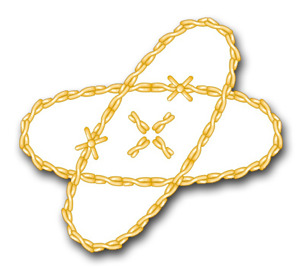 Navy Electronics Technician Vinyl Transfer Decal