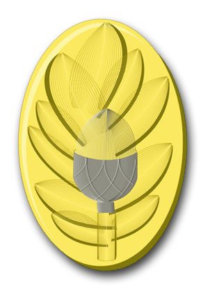 Navy Field Surgeon Vinyl Transfer Decal