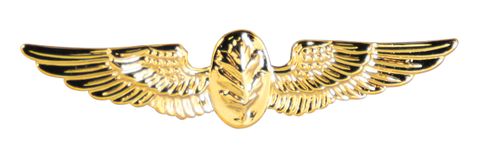 Navy Flight Nurse 1 3/8" Badge