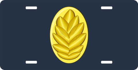 Navy Flight Nurse License Plate