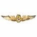 Navy Flight Surgeon Badge