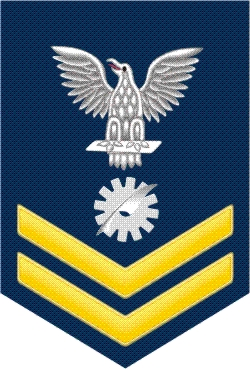 Navy Gold E-5 Data Processing Technician DP Decal Sticker