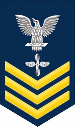 Navy Gold E-6 Aviation Machinist's Mate AD Decal Sticker